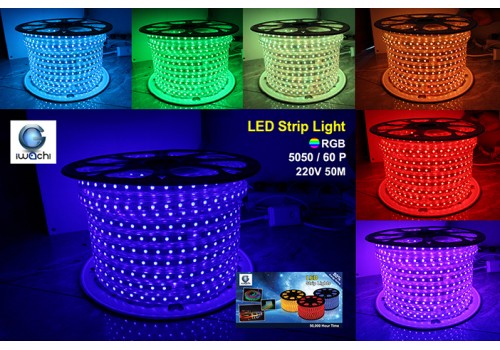 IWACHI-5050-50M-60P-RGB